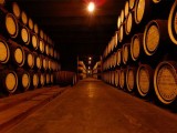 Công nghệ sản xuất rượu vang nho tiêu chuẩn Châu Âu