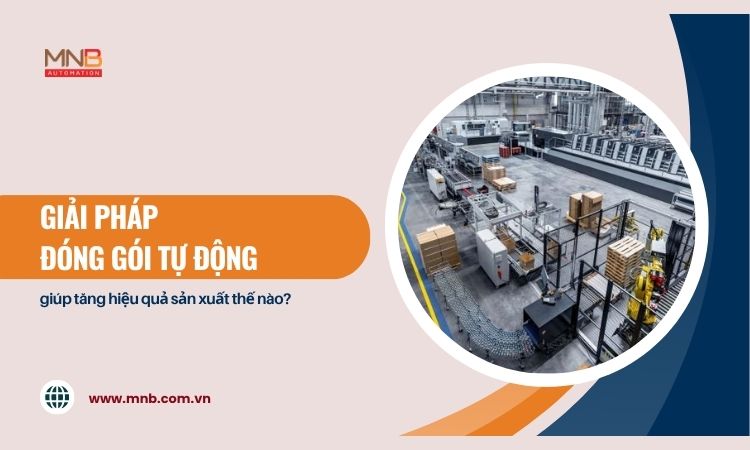 Giải pháp đóng gói tự động giúp tăng hiệu quả sản xuất thế nào? Giải pháp đóng gói tự động giúp tăng hiệu quả sản xuất thế nào?