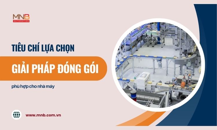 Tiêu chí lựa chọn giải pháp đóng gói phù hợp cho nhà máy